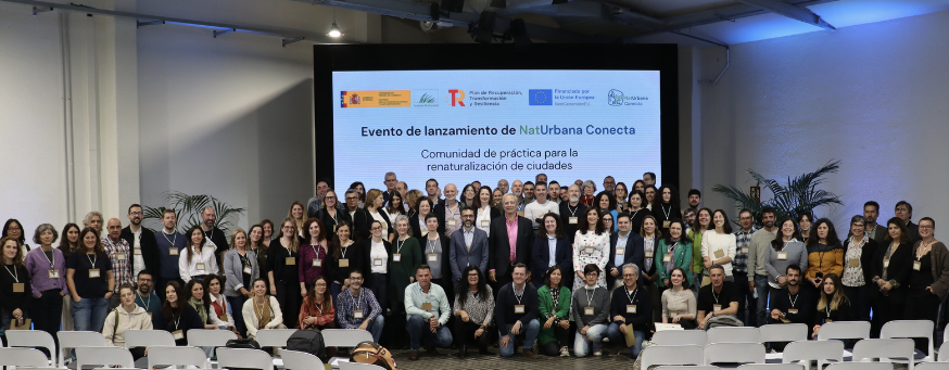 Captura-de-pantalla-2025-11-20-a-las-11.50.52