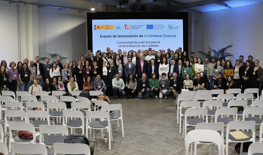 Captura de pantalla 2025-11-20 a las 11.50.52