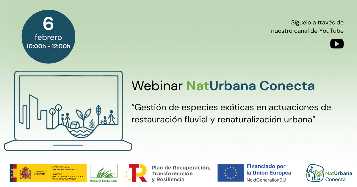 Webinar II - portada